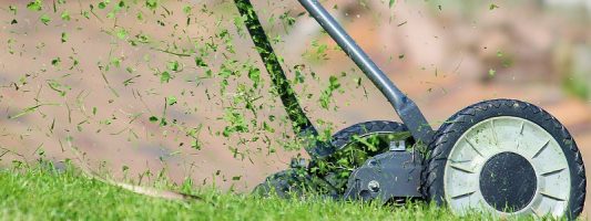 Il Tagliaerbe Manutentori Del Verde